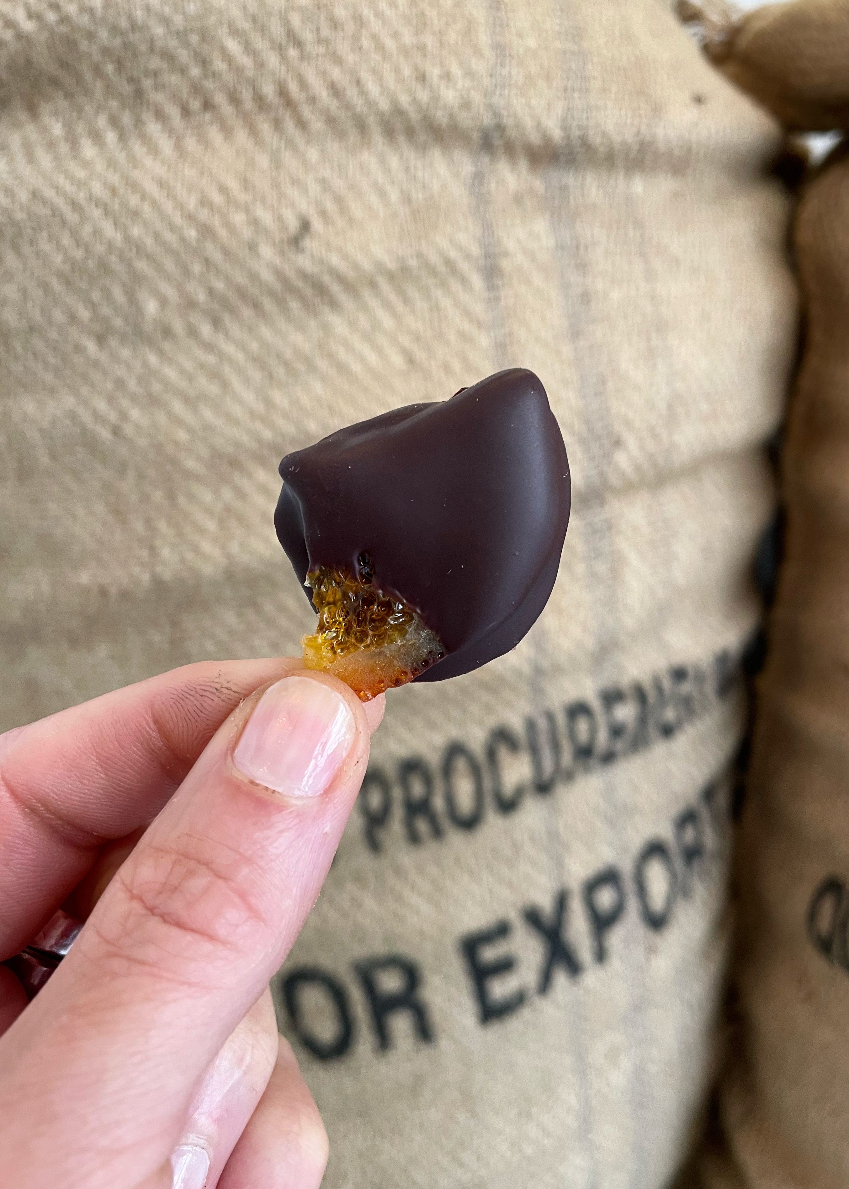 Dipped candied orange 100g ECO