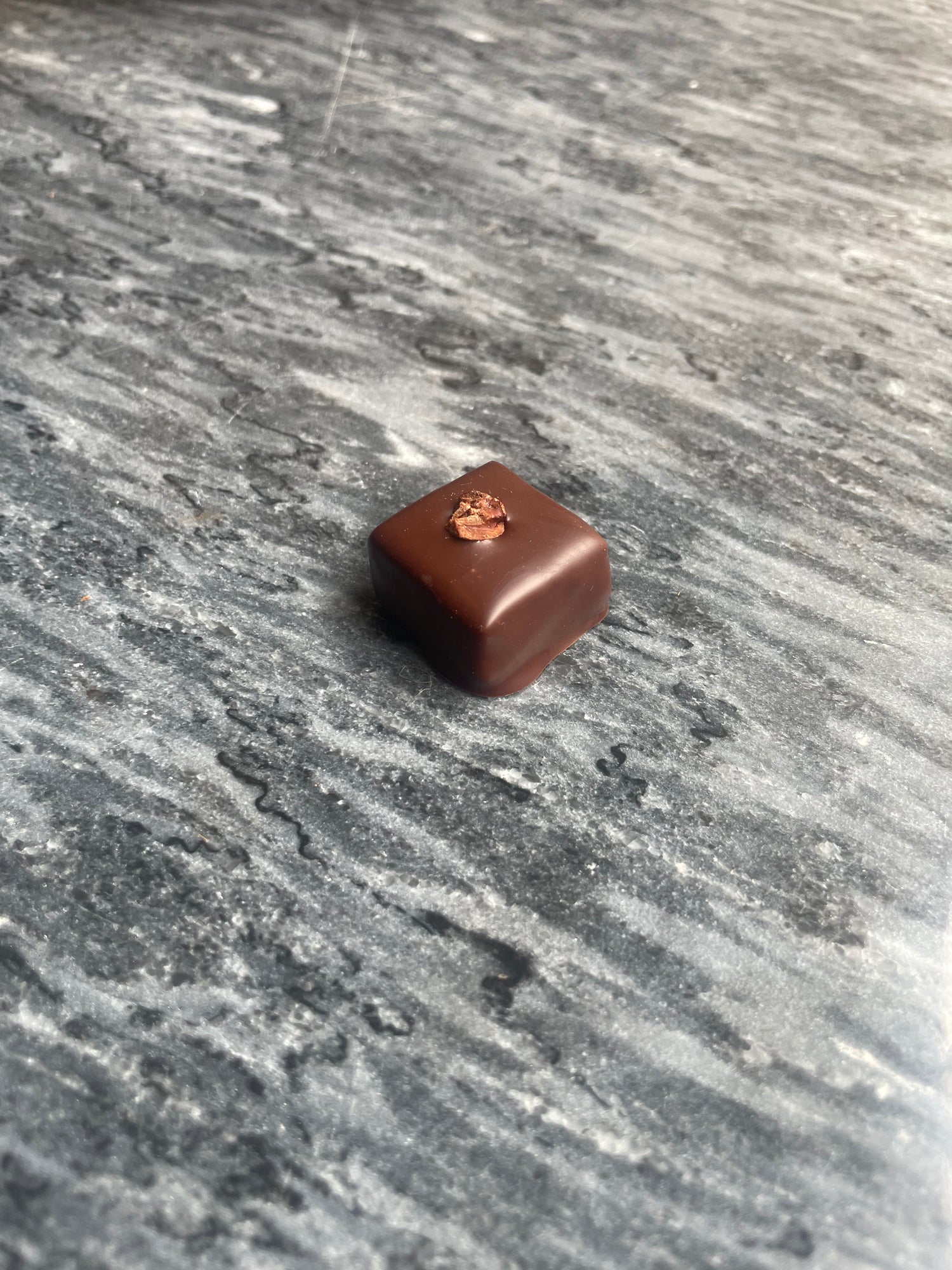 Pralin Mörk Ganache Kakaonibs (styck)